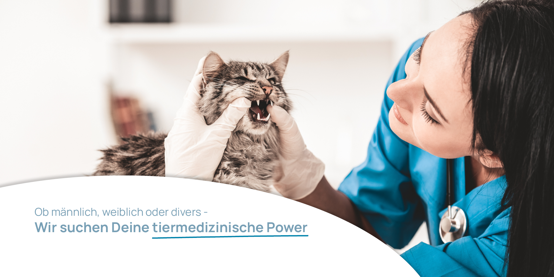 Teaserbild Tierarztpraxis Rangsdorf